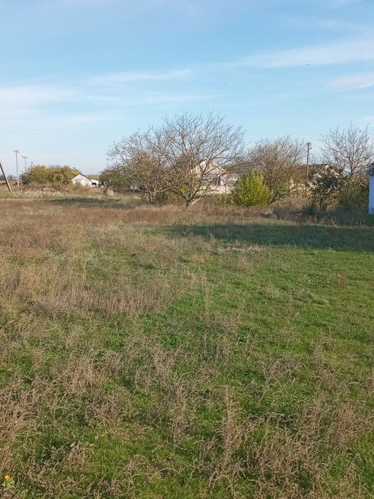 Дом в Петрово-Солонихе, возможен торг