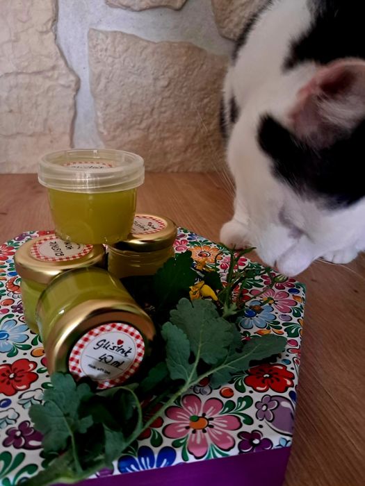 Maść z glistnika jaskółcze ziele 40 ml