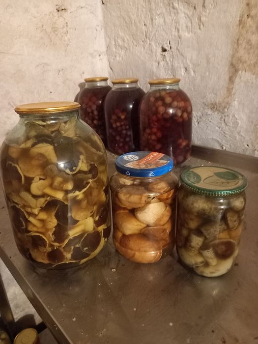 Продам мариновані гриби
