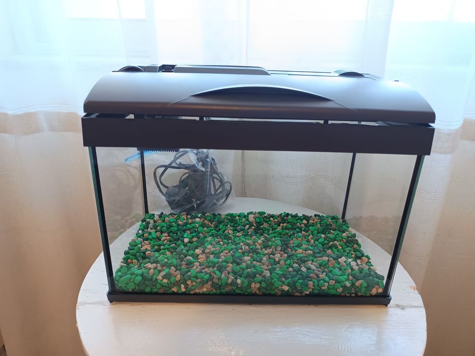Aquário para peixes