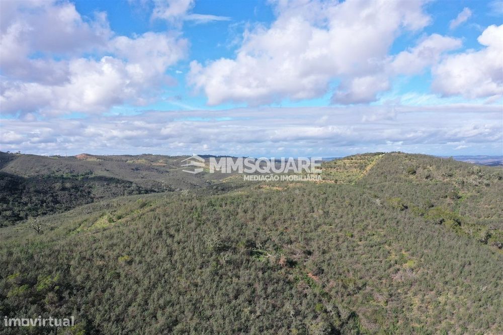 Herdade  Venda em Santana da Serra,Ourique