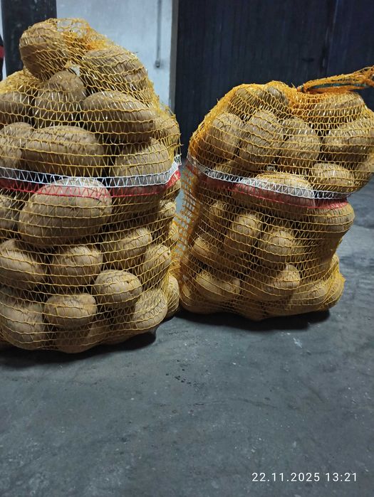 Sprzedam ziemniaki denar