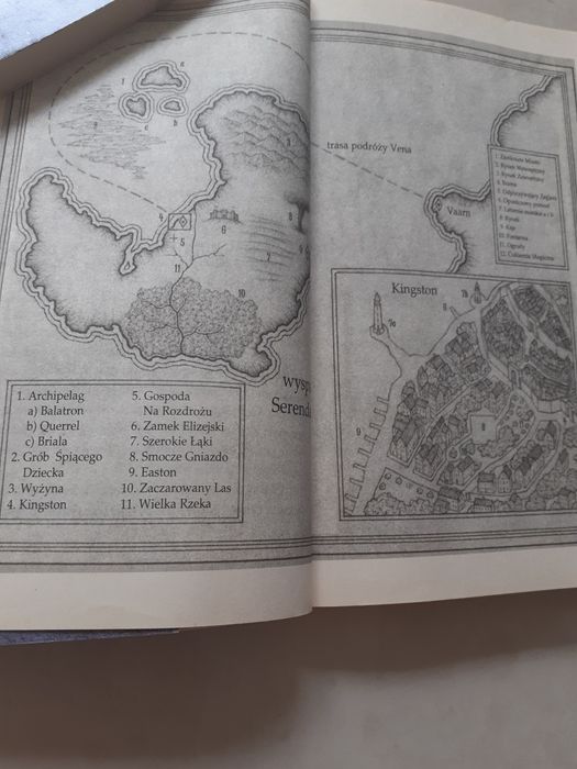 Książka Pływająca wyspa Elizabeth Haydon