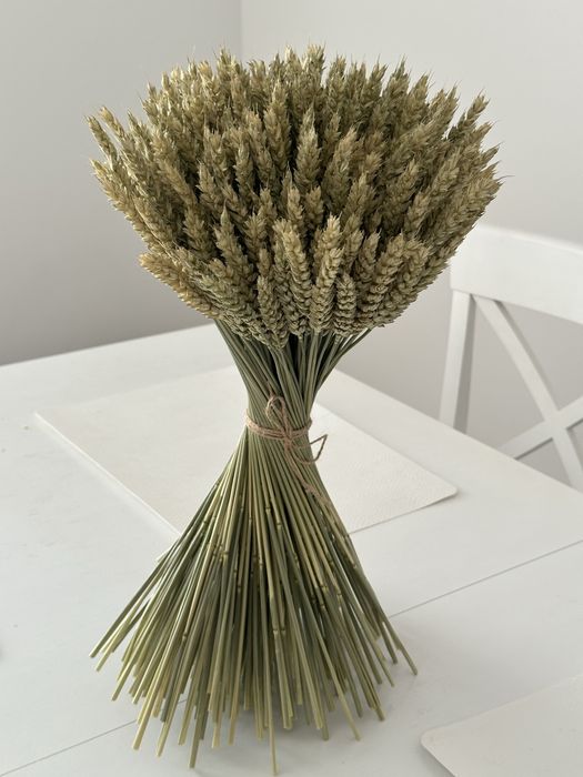 Колоски Пшениці натуральні, можливий опт, Жито, Ячмінь, Льон