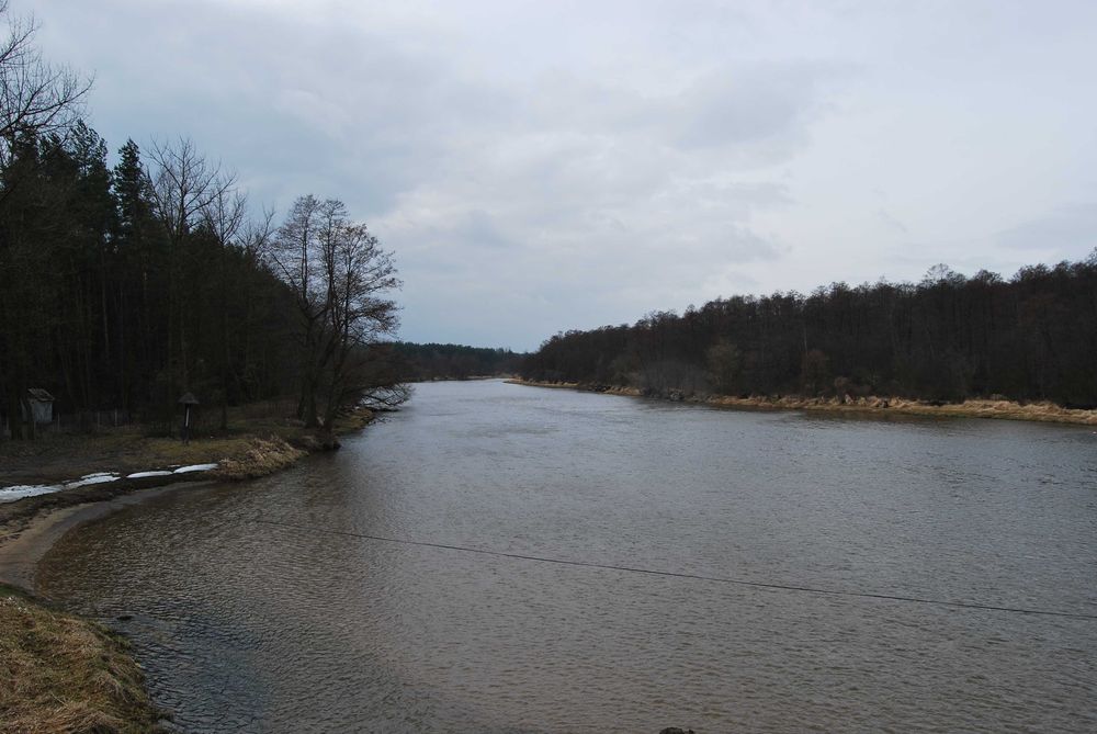 Działka 5100m2 z pozwoleniem na dom 600m2 – Tomczyce nad Pilicą