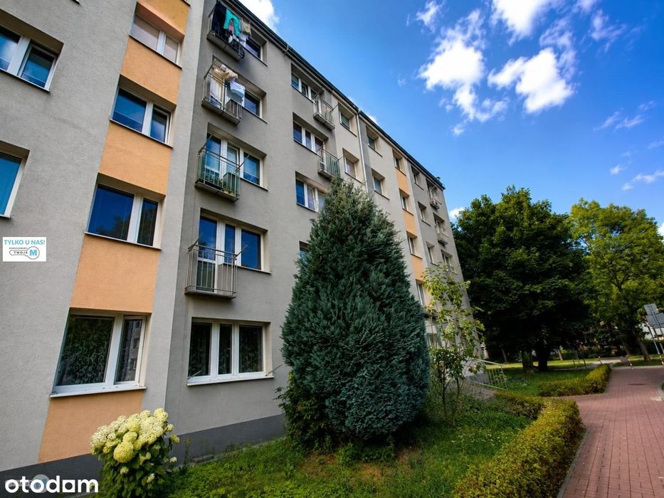 Zdjęcie 8