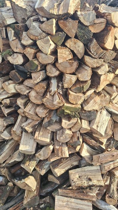 Drzewo dębowe, dąb, pocięty, suchy,sezonowane 4 lata,gotowy do palenia