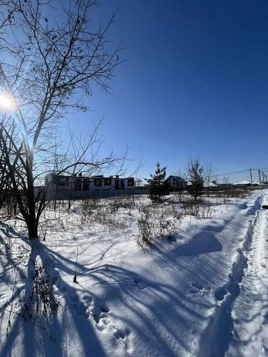 (3) Продам земельну ділянку в Шкуринці  Прибузьке 8686