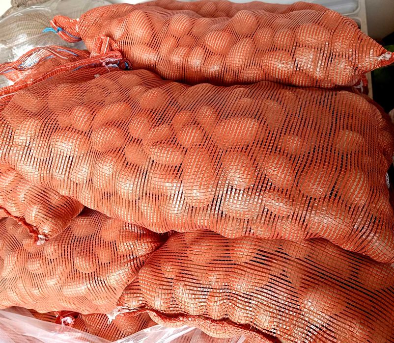 Ziemniaki Sadzeniaki QUEEN ANNE Królowa Anna Promocja Klasa A