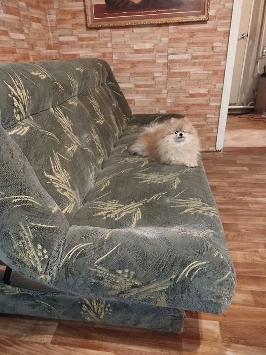 Продам диван книжку. Доставка