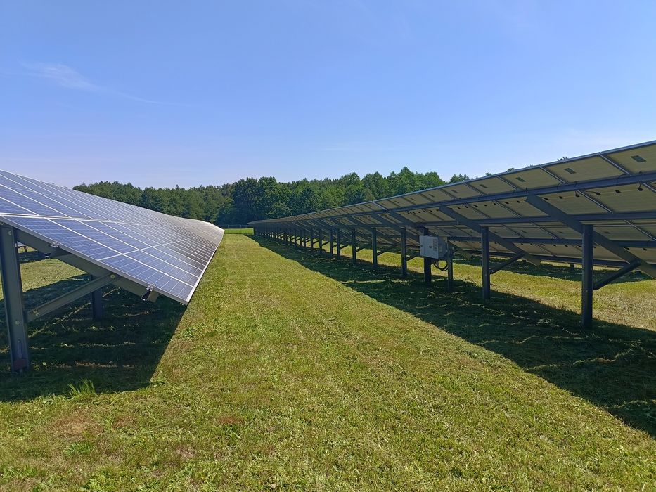 Wycinka drzew ,Koszenie trawy, zakładanie ogrodów, wywóz Wb garden