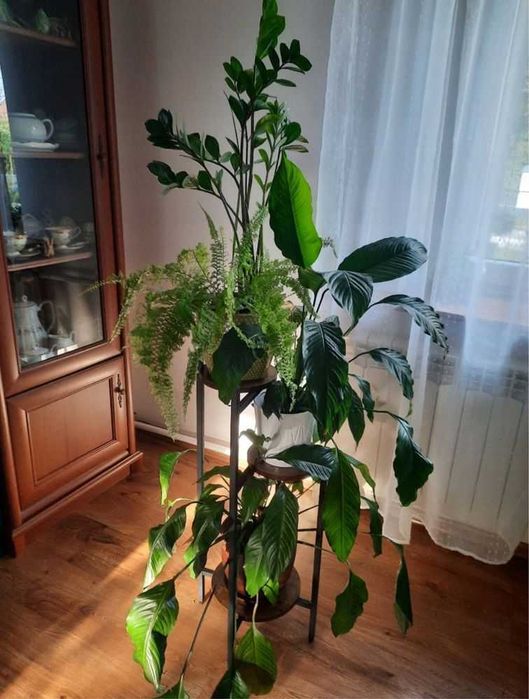 Kwietnik stojący metalowy 80 cm – postarzany dąb, NOWY