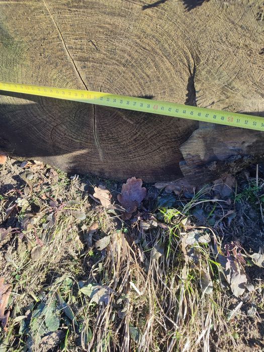 Кругляк дуба, пиломатеріали.