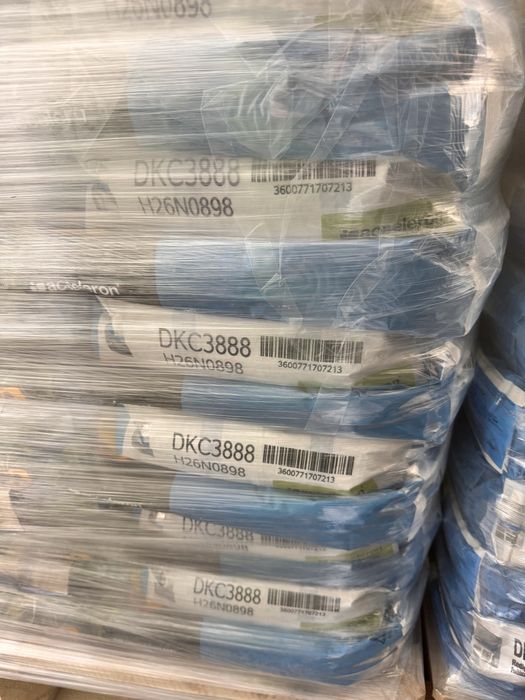 Nasiona kukurydzy DKC dekalb bayer