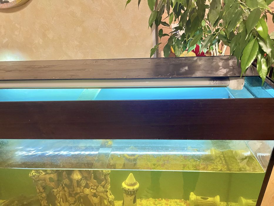 Акваріум 200л київ самовивіз