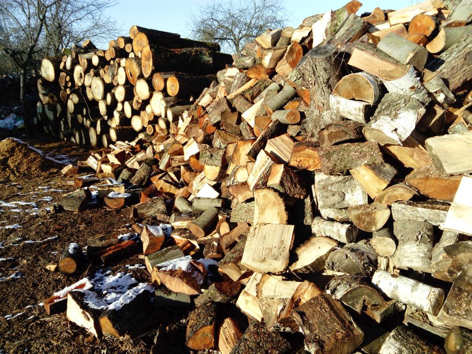 drewno opałowe wszyskie gatunki (kominkowe)