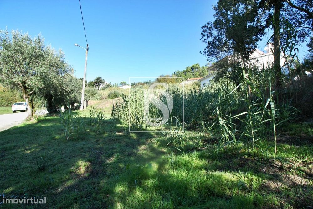 Terreno  Venda em Nossa Senhora da Piedade,Ourém