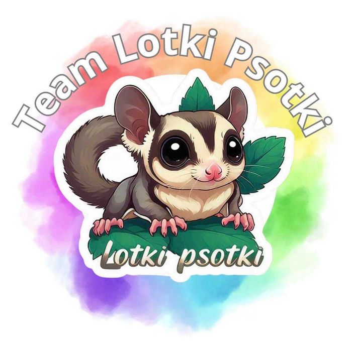 Lotopałanka karłowata|Sprawdzona hodowla|Lotki Psotki|Wyjątkowe samce