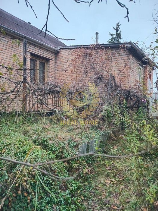 Продам будинок з великою земельною ділянкою в с.Заруддя