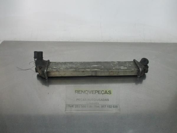 Radiador do intercooler RENAULT Kangoo (KC0/1_)