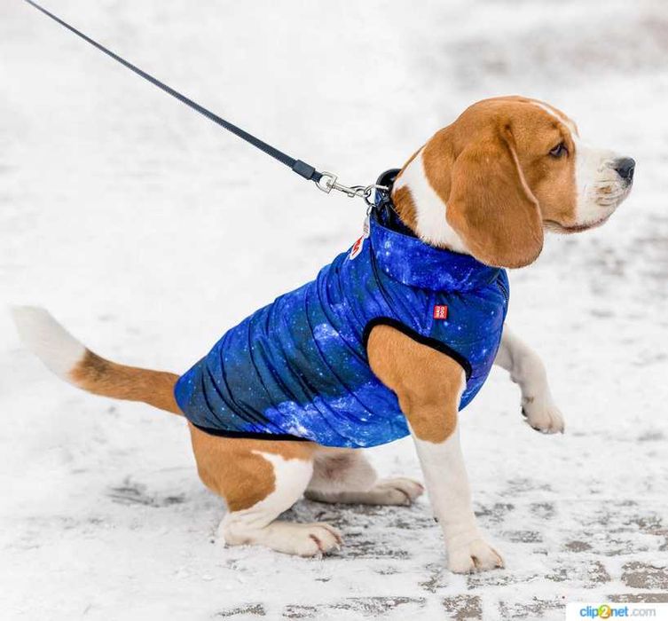 Курточка для собак WAUDOG Clothes, малюнок "NASA21"