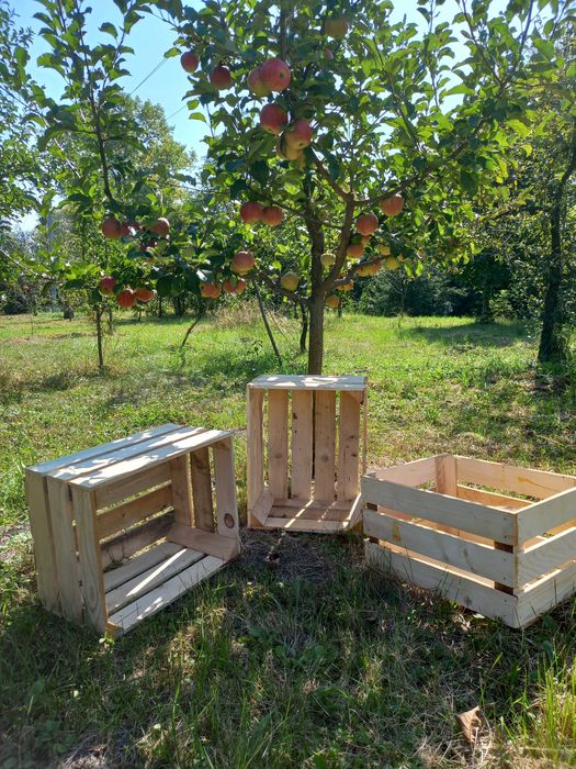 Ящик дерев'яний для яблук