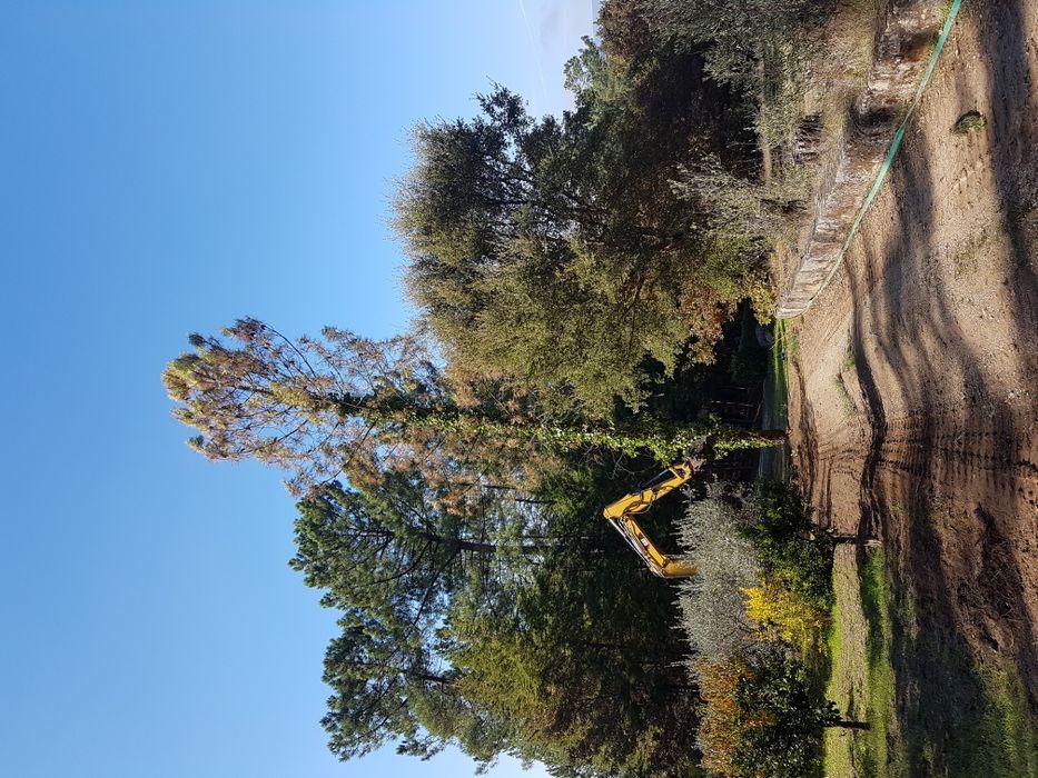 Tesoura de abate e poda TMK 200