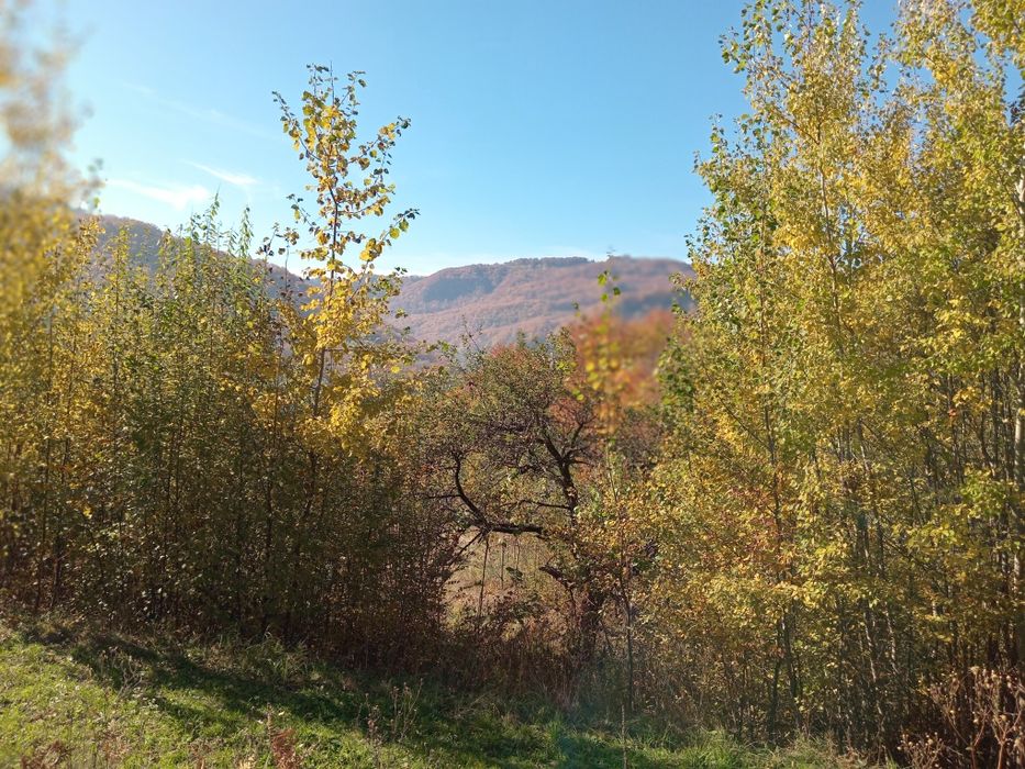 Відпочинок у Виженці.Вільні дати на різдвяно -новорічний період.