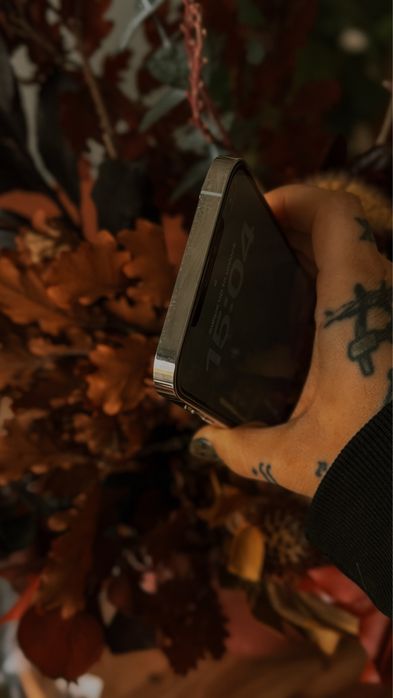 Iphone 12 Pro Max 256gb