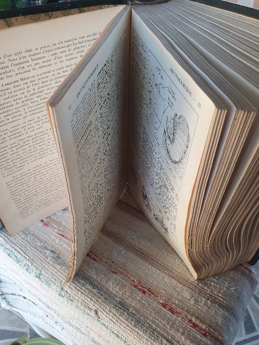 Livro Nouveau Larousse  MÉDICAL