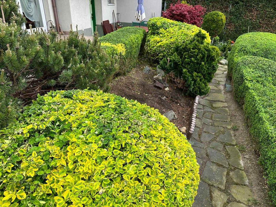 Zakładanie i pielęgnacja ogrodów firma TRAWOGRÓD