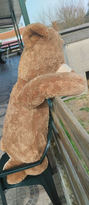 Uma autêntica fofura