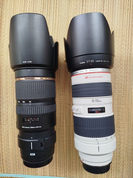 Canon 70-200, 24-70, 24-105, 70-300, 24mm