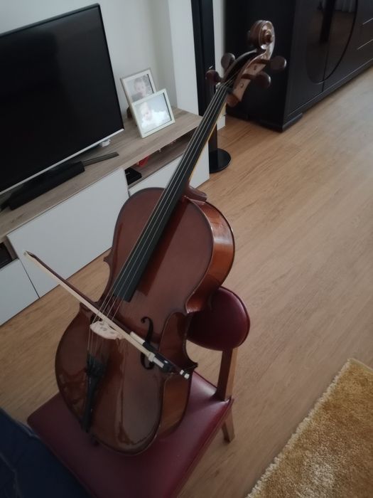 Violoncelo Stentor 1/4