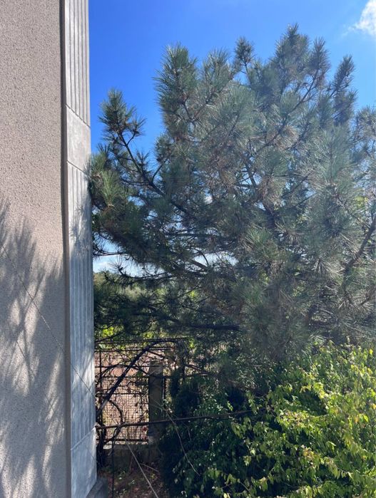 Будинок за адресою вул. Санаторна (площа 254 м²) - Atlanta.ua - фото 14