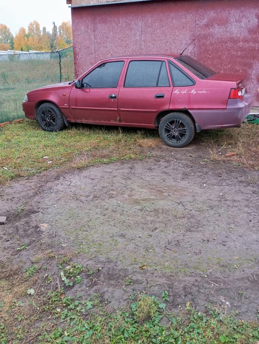 Продам некисю срочно