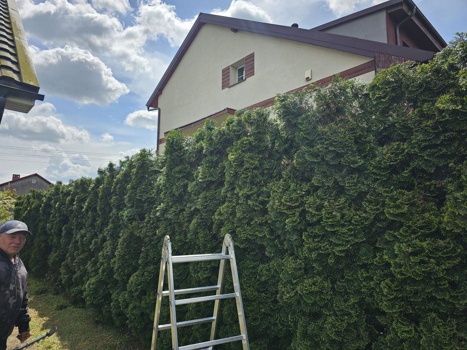 Zakladanie trawnikow i ogrodow,czyszczenie pielegnacja ogrodu