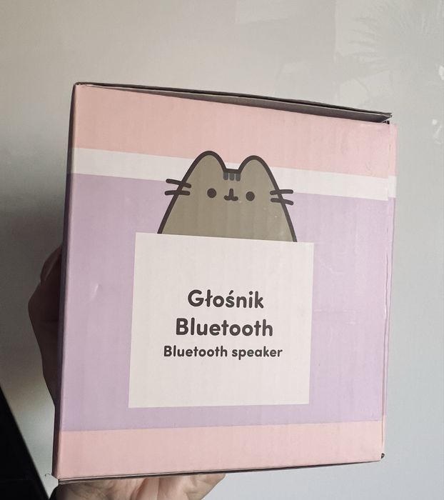 Głośnik Bluetooth Bluetooth speaker, Pusheen