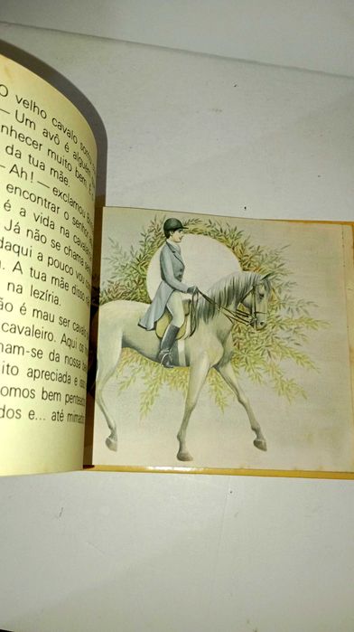 O Brincalhão - livro antigo