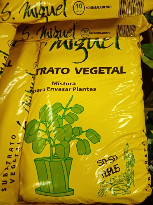 Substrato Vegetal