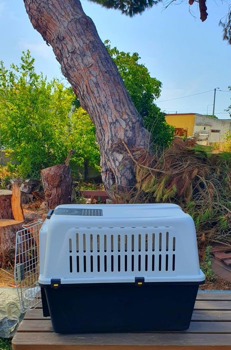 Caixa de transporte para cães