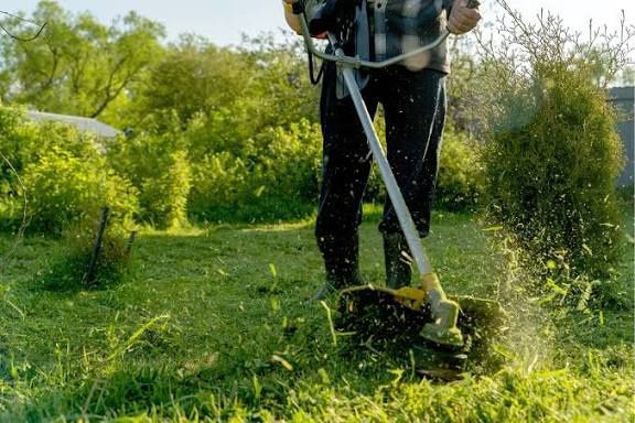 Serviços e manutenção de jardim