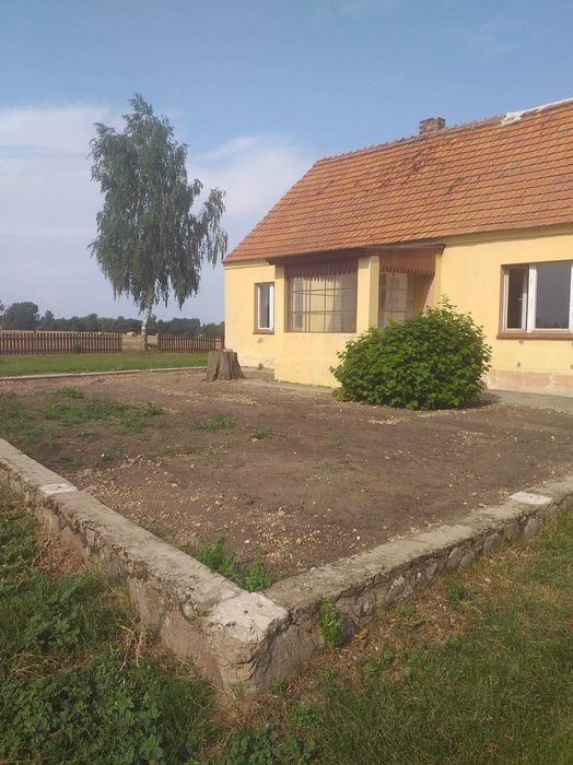 Dom na wynajem w Niedźwiadach
