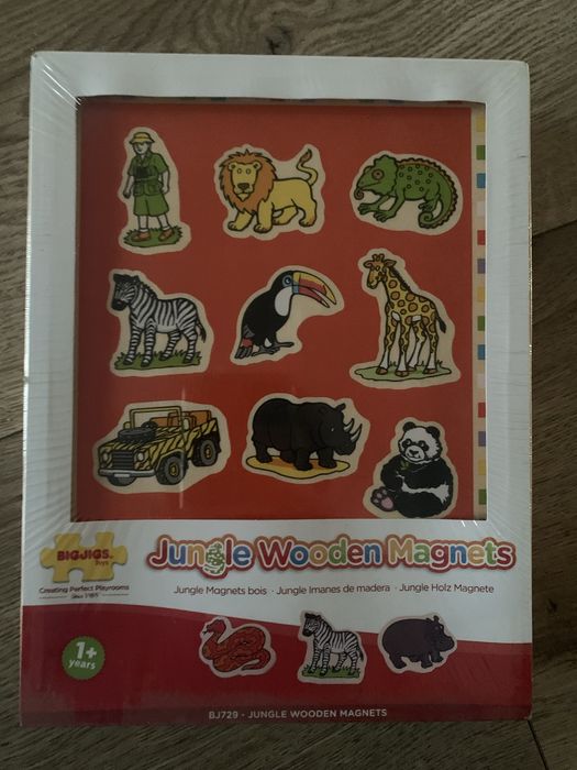 Niwe drewniane magnesy Bigjigs