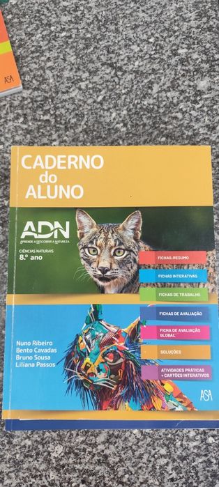 Cadernos atividades 8 ano