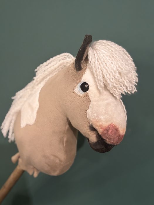 Hobby horse z odmianami