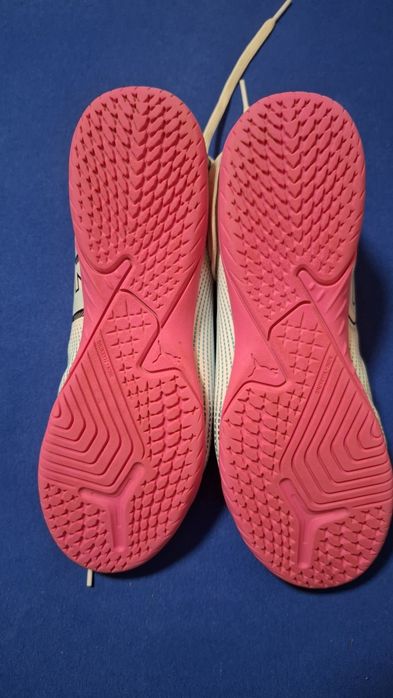 Сороконіжки Puma Future