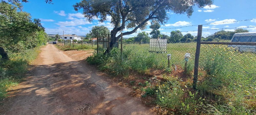 Terreno 4.280m2 Boliqueime a 10min Praia da Falésia
