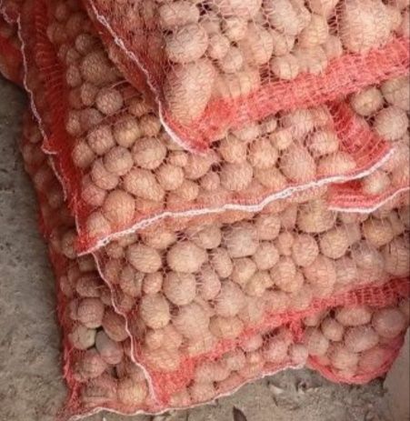 Продається дрібна картопля