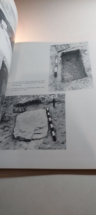 Pré-História da Área de Sines, Trabalhos Arqueológicos (1981)
